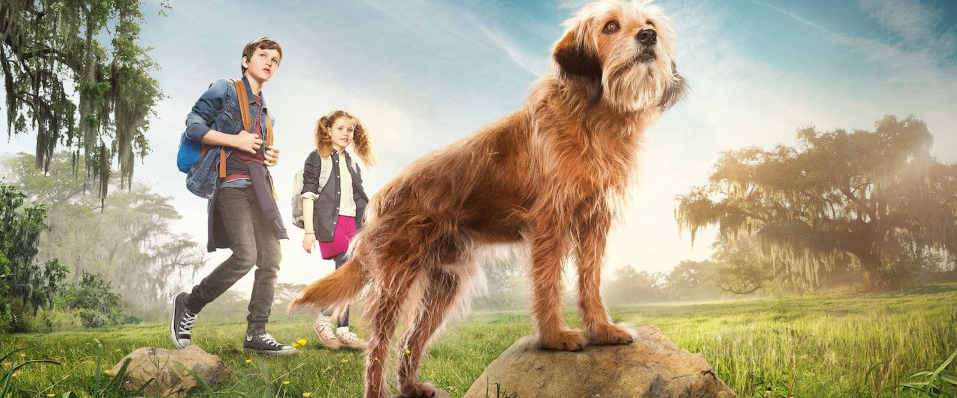 The Best Adventure Movies for Family Movie Night