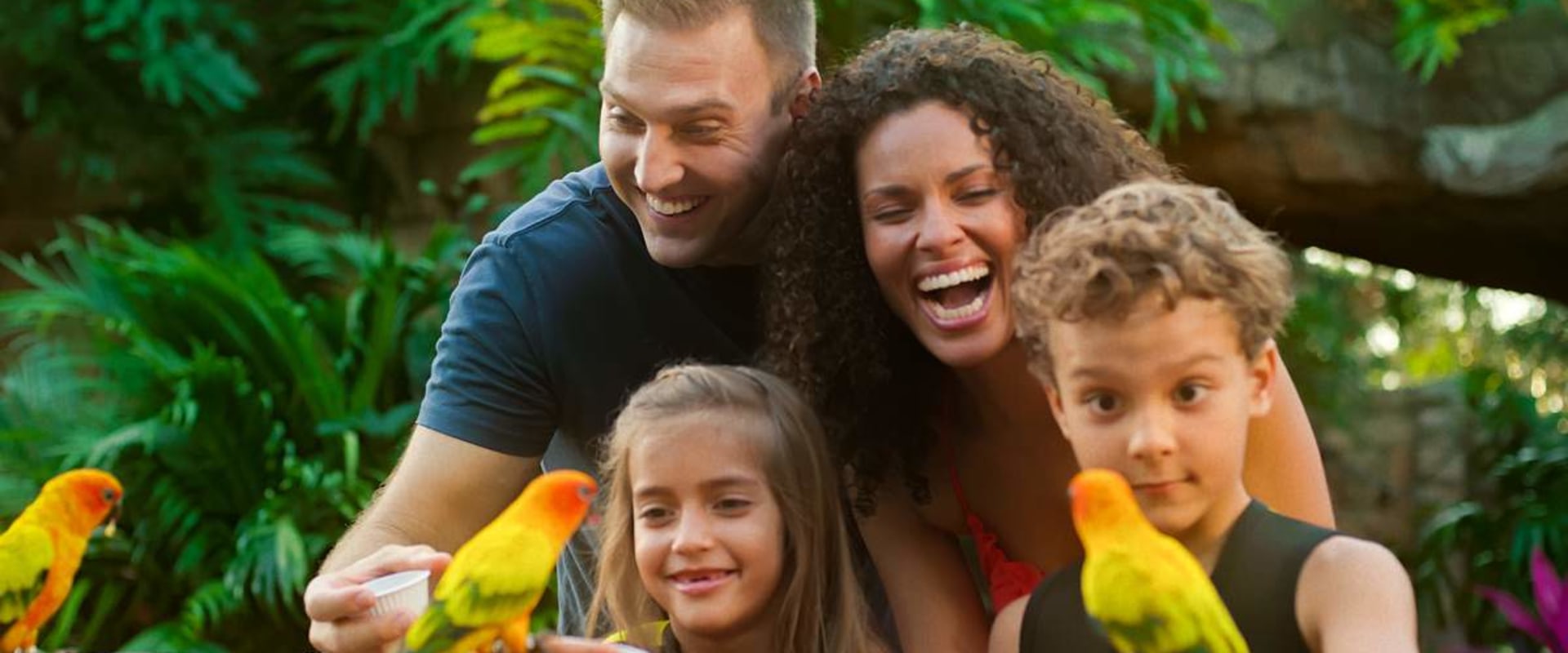 Discovering the Best Family-Friendly Entertainment: A Comprehensive Guide to Discovery Family