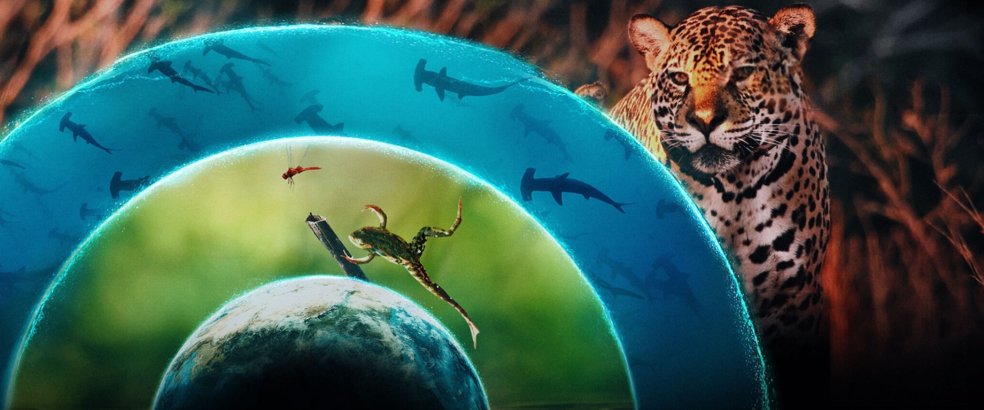 Discover the World of Animal Planet