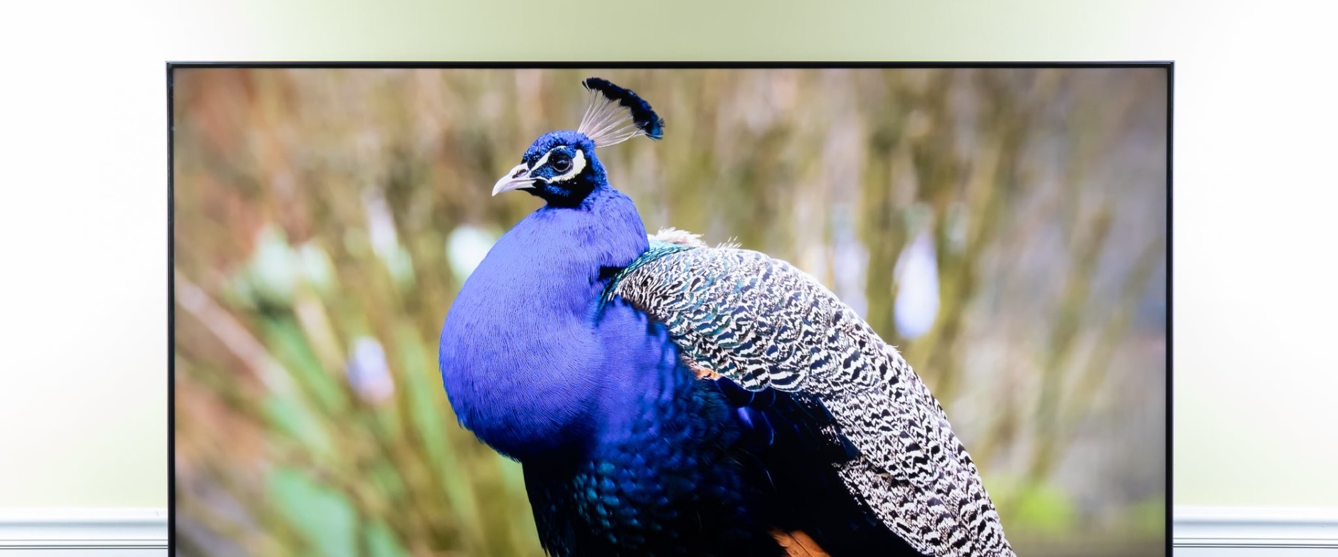 The Best Family-Friendly TV Options