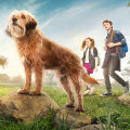 The Best Adventure Movies for Family Movie Night
