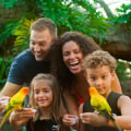 Discovering the Best Family-Friendly Entertainment: A Comprehensive Guide to Discovery Family