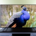 The Best Family-Friendly TV Options