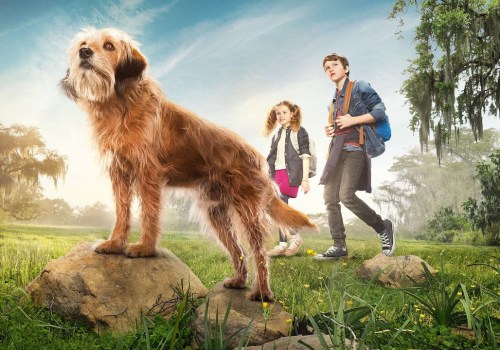 The Best Adventure Movies for Family Movie Night