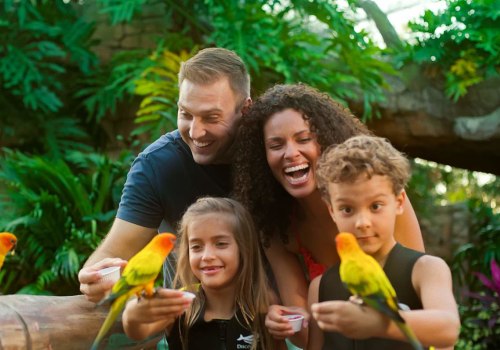 Discovering the Best Family-Friendly Entertainment: A Comprehensive Guide to Discovery Family
