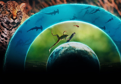 Discover the World of Animal Planet
